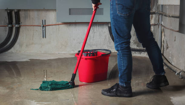 Best Residential water damage restoration  in Grosse Pointe Farms, MI
